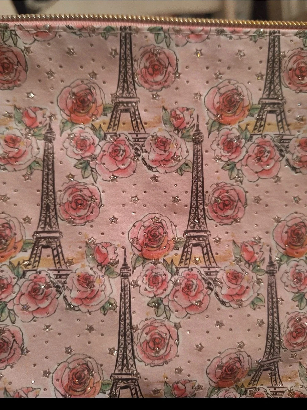 Pink Eiffel Tower & Rose Print Accessory Pouch